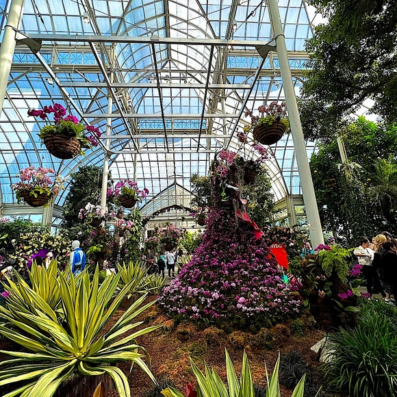 ❤️ LIKE to be notified when I go LIVE ❤️ - Picture 4 of 16